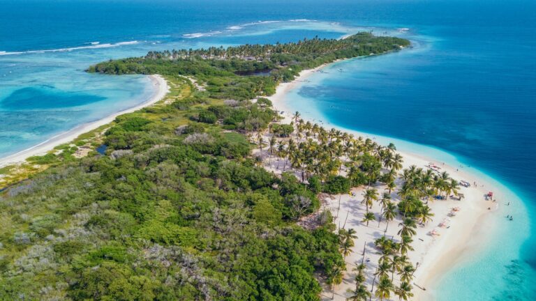 Fotografía de Morrocoy