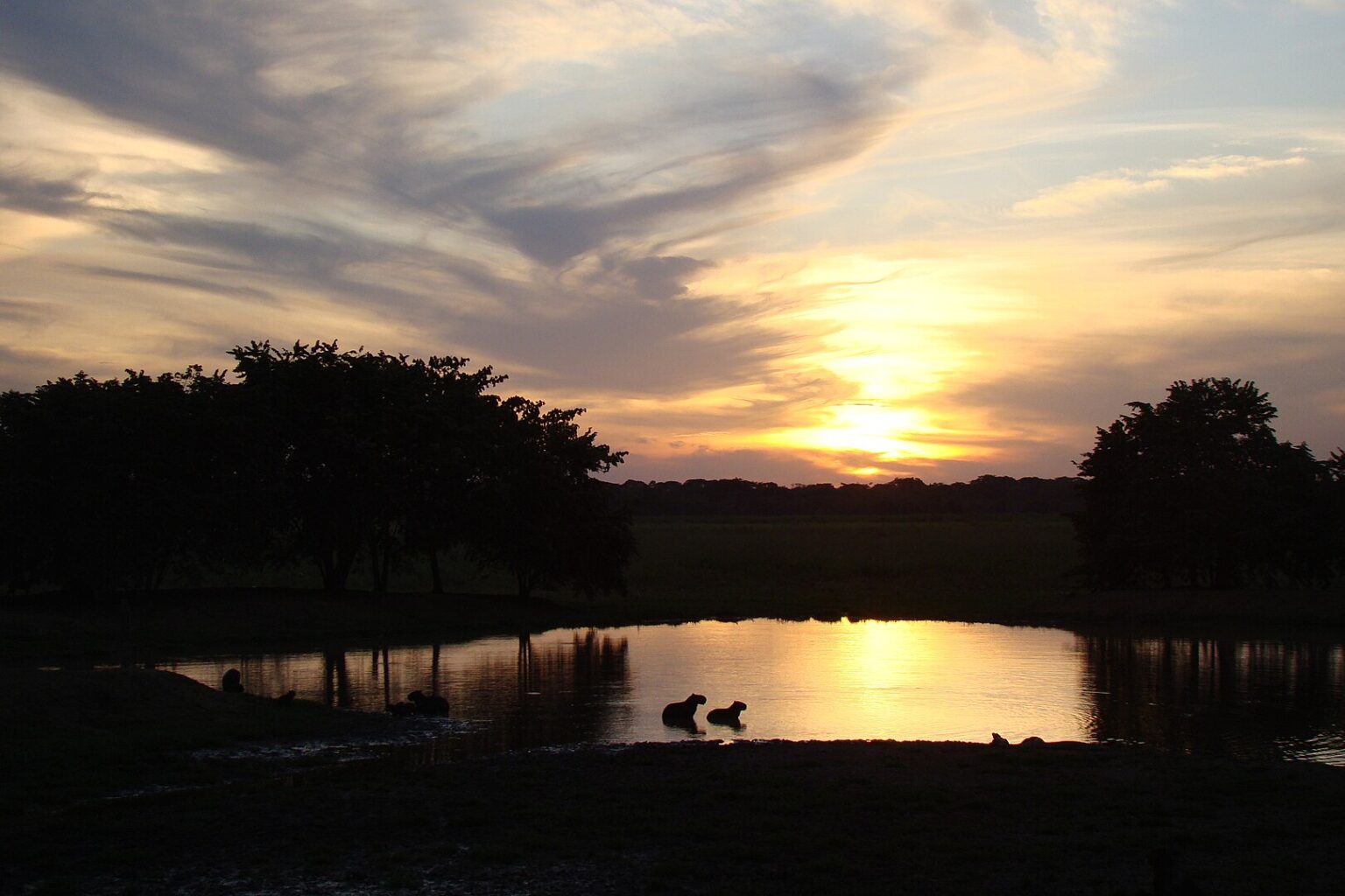 Atardecer en Hato San Miguel