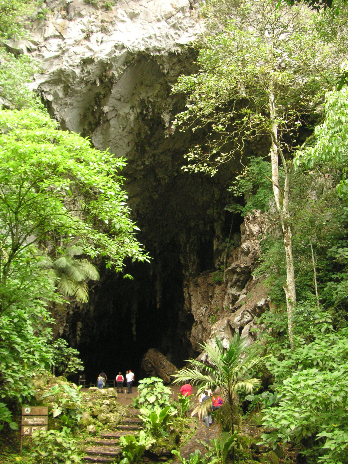 Foto de la entrada de la Cueva del Guacharo